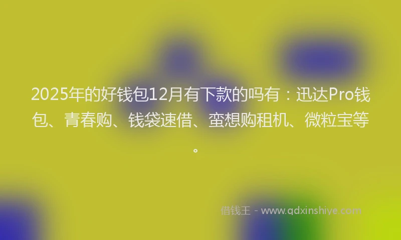 2025年的好钱包12月有下款的吗有：迅达Pro钱包、青春购、钱袋速借、蛮想购租机、微粒宝等。