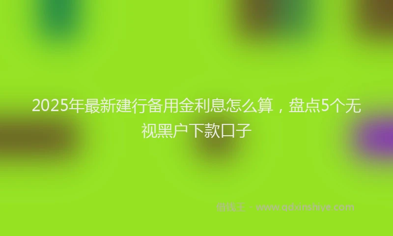 2025年最新建行备用金利息怎么算，盘点5个无视黑户下款口子