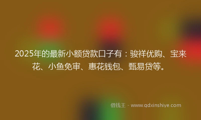 2025年的最新小额贷款口子有：骏祥优购、宝来花、小鱼免审、惠花钱包、甄易贷等。