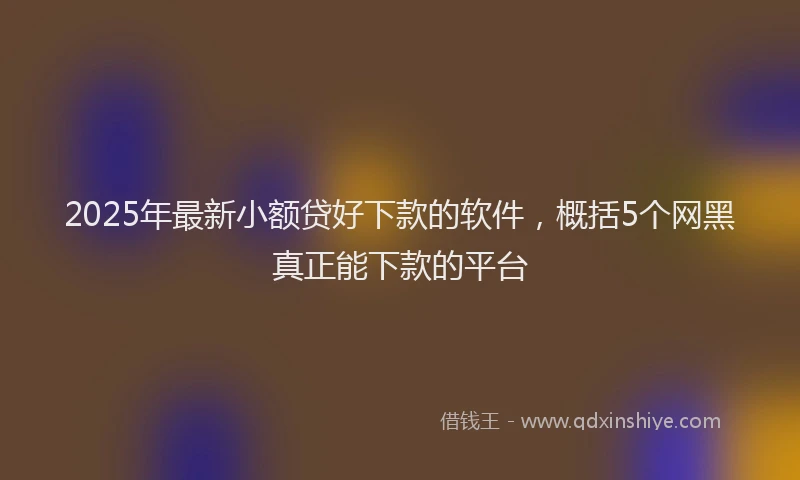 2025年最新小额贷好下款的软件，概括5个网黑真正能下款的平台