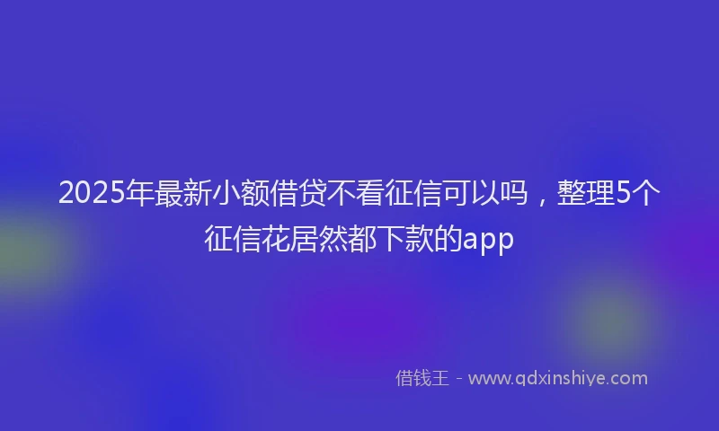 2025年最新小额借贷不看征信可以吗，整理5个征信花居然都下款的app