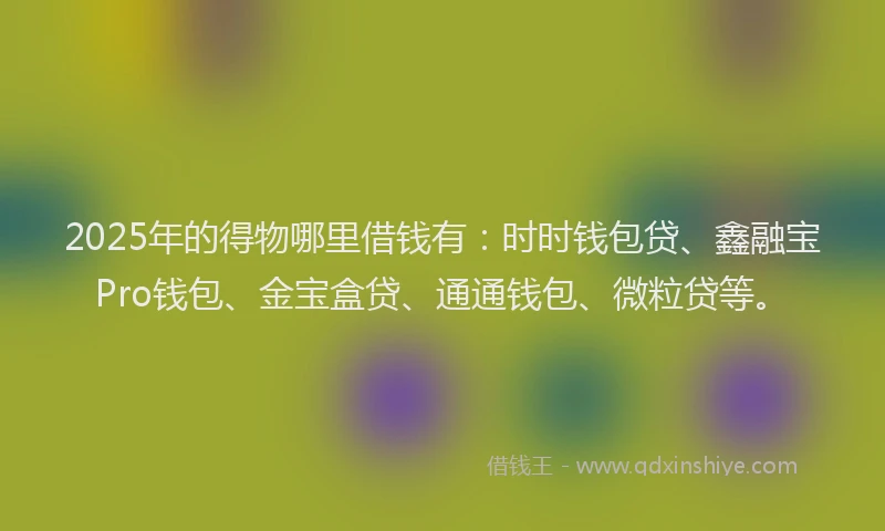 2025年的得物哪里借钱有：时时钱包贷、鑫融宝Pro钱包、金宝盒贷、通通钱包、微粒贷等。