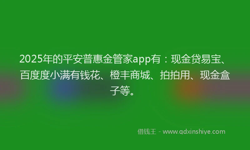 2025年的平安普惠金管家app有：现金贷易宝、百度度小满有钱花、橙丰商城、拍拍用、现金盒子等。