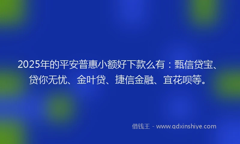 2025年的平安普惠小额好下款么有：甄信贷宝、贷你无忧、金叶贷、捷信金融、宜花呗等。