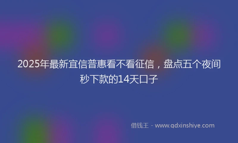 2025年最新宜信普惠看不看征信，盘点五个夜间秒下款的14天口子