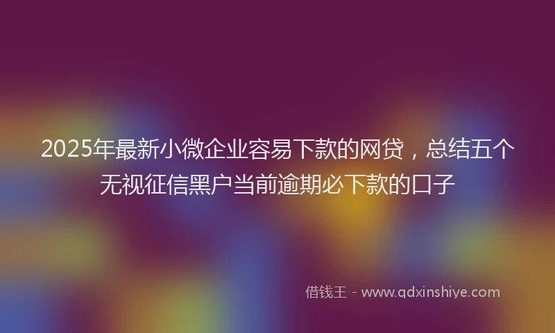 2025年最新小微企业容易下款的网贷，总结五个无视征信黑户当前逾期必下款的口子