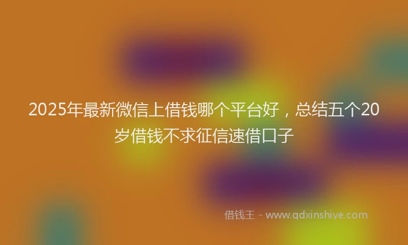 2025年最新微信上借钱哪个平台好，总结五个20岁借钱不求征信速借口子