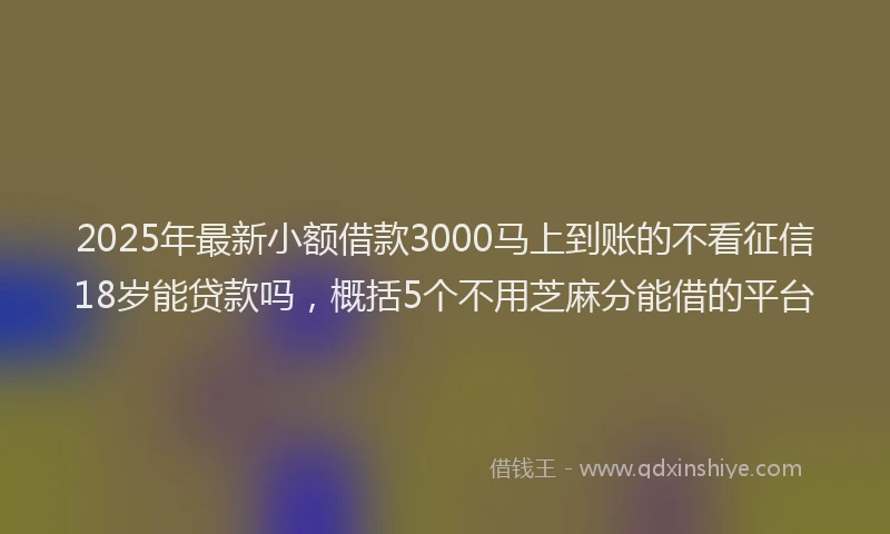 2025年最新小额借款3000马上到账的不看征信18岁能贷款吗，概括5个不用芝麻分能借的平台