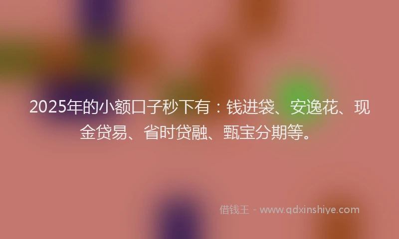 2025年的小额口子秒下有：钱进袋、安逸花、现金贷易、省时贷融、甄宝分期等。
