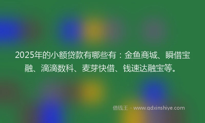 2025年的小额贷款有哪些有：金鱼商城、瞬借宝融、滴滴数科、麦芽快借、钱速达融宝等。