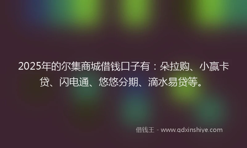 2025年的尔集商城借钱口子有：朵拉购、小赢卡贷、闪电通、悠悠分期、滴水易贷等。