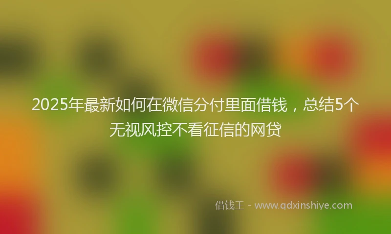 2025年最新如何在微信分付里面借钱，总结5个无视风控不看征信的网贷