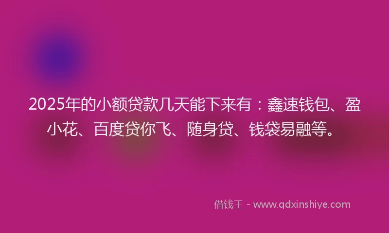 2025年的小额贷款几天能下来有：鑫速钱包、盈小花、百度贷你飞、随身贷、钱袋易融等。