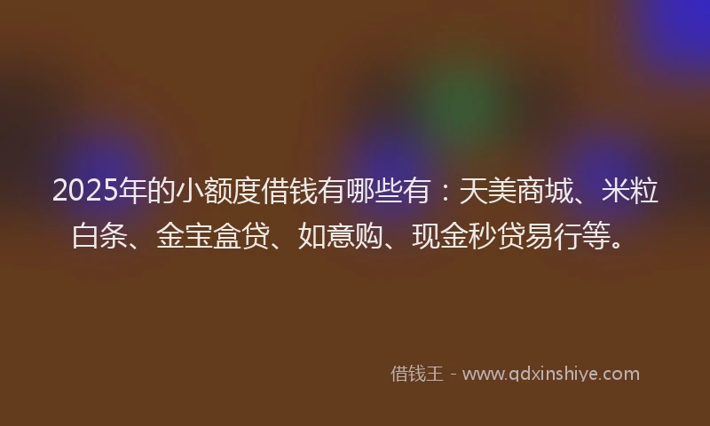 2025年的小额度借钱有哪些有：天美商城、米粒白条、金宝盒贷、如意购、现金秒贷易行等。