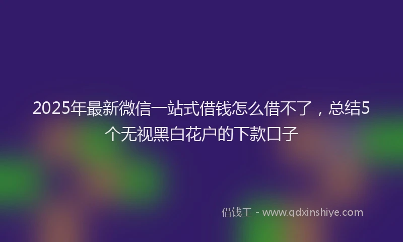 2025年最新微信一站式借钱怎么借不了，总结5个无视黑白花户的下款口子