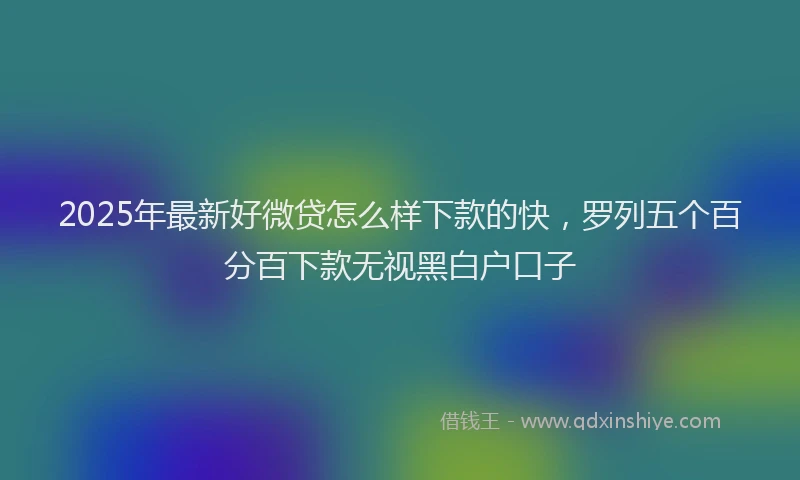 2025年最新好微贷怎么样下款的快，罗列五个百分百下款无视黑白户口子
