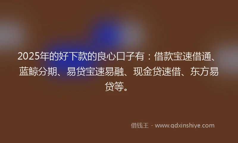 2025年的好下款的良心口子有：借款宝速借通、蓝鲸分期、易贷宝速易融、现金贷速借、东方易贷等。