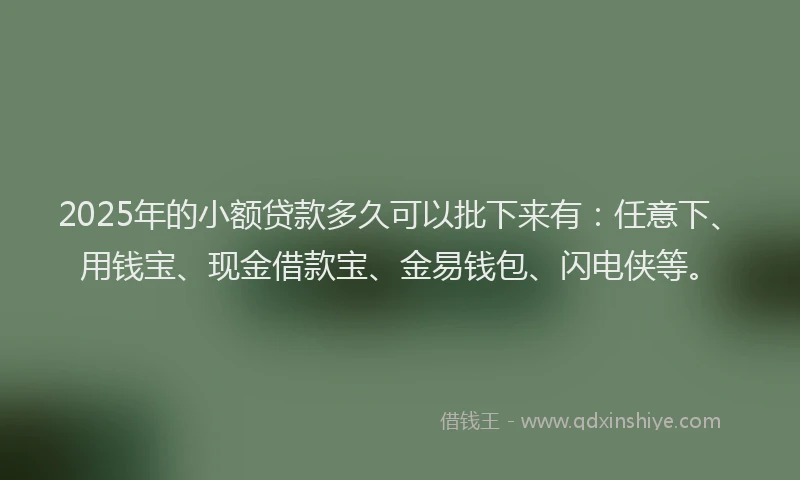 2025年的小额贷款多久可以批下来有：任意下、用钱宝、现金借款宝、金易钱包、闪电侠等。