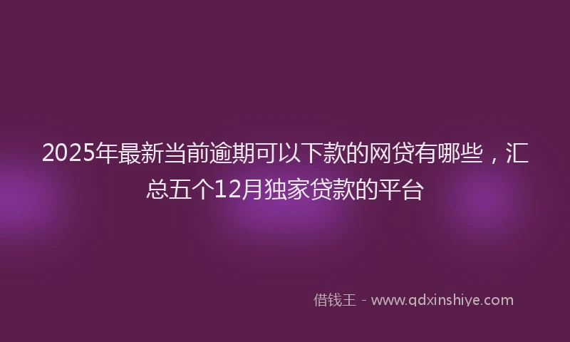 2025年最新当前逾期可以下款的网贷有哪些，汇总五个12月独家贷款的平台