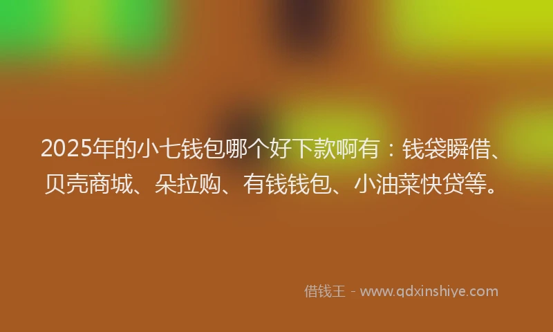 2025年的小七钱包哪个好下款啊有：钱袋瞬借、贝壳商城、朵拉购、有钱钱包、小油菜快贷等。