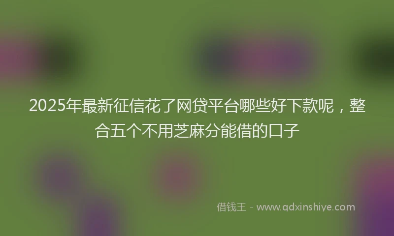 2025年最新征信花了网贷平台哪些好下款呢，整合五个不用芝麻分能借的口子