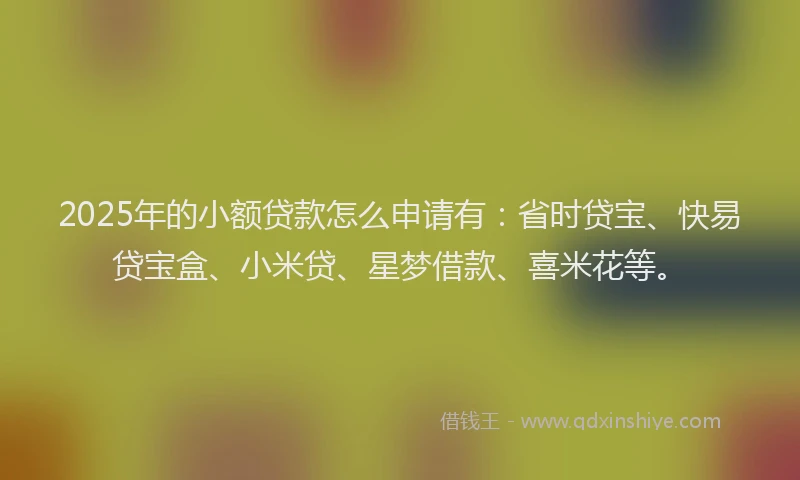 2025年的小额贷款怎么申请有：省时贷宝、快易贷宝盒、小米贷、星梦借款、喜米花等。