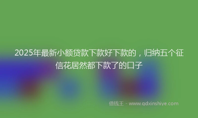 2025年最新小额贷款下款好下款的，归纳五个征信花居然都下款了的口子