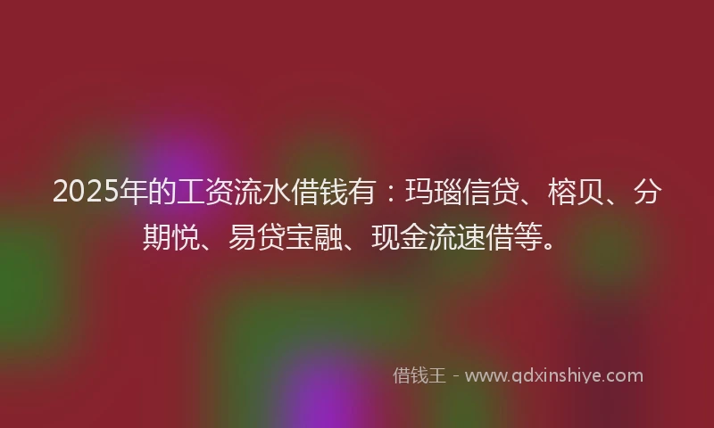 2025年的工资流水借钱有：玛瑙信贷、榕贝、分期悦、易贷宝融、现金流速借等。