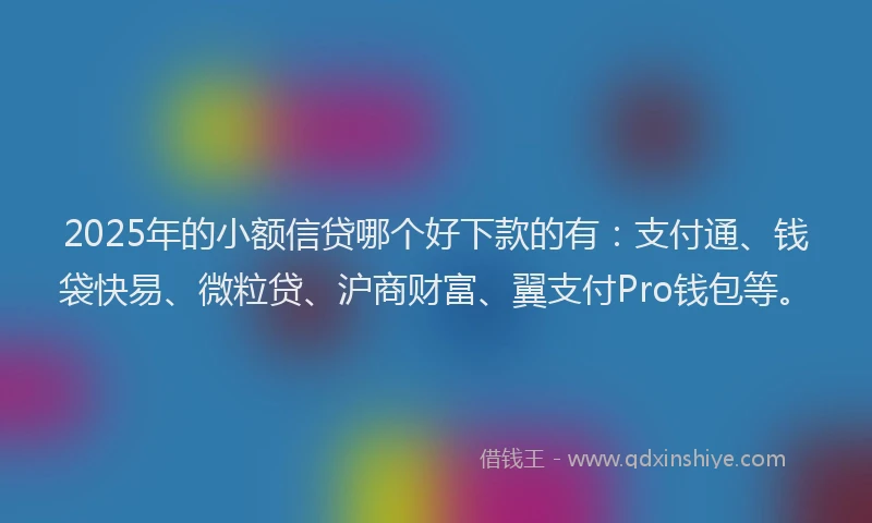 2025年的小额信贷哪个好下款的有：支付通、钱袋快易、微粒贷、沪商财富、翼支付Pro钱包等。