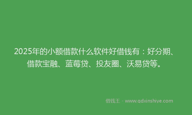 2025年的小额借款什么软件好借钱有：好分期、借款宝融、蓝莓贷、投友圈、沃易贷等。