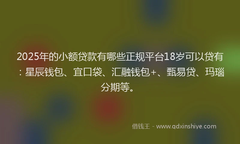 2025年的小额贷款有哪些正规平台18岁可以贷有：星辰钱包、宜口袋、汇融钱包+、甄易贷、玛瑙分期等。
