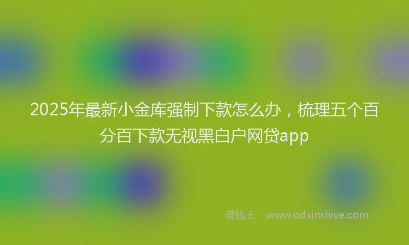 2025年最新小金库强制下款怎么办，梳理五个百分百下款无视黑白户网贷app