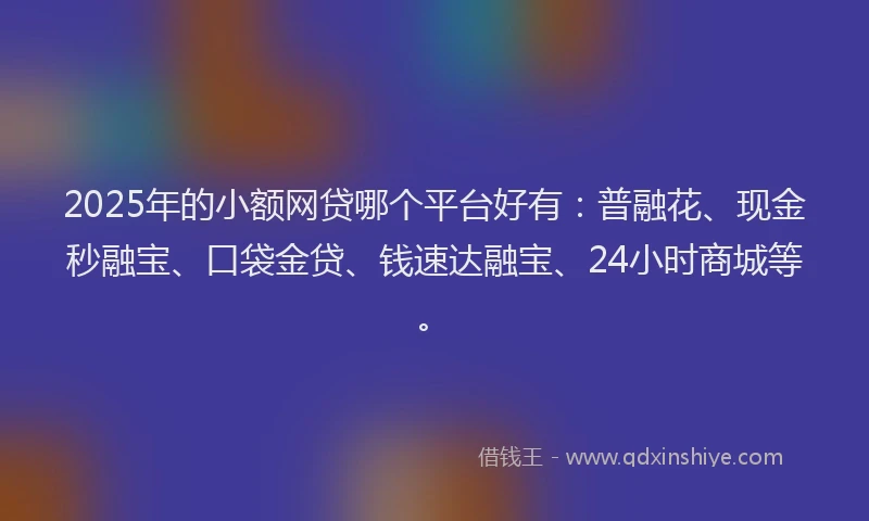 2025年的小额网贷哪个平台好有：普融花、现金秒融宝、口袋金贷、钱速达融宝、24小时商城等。