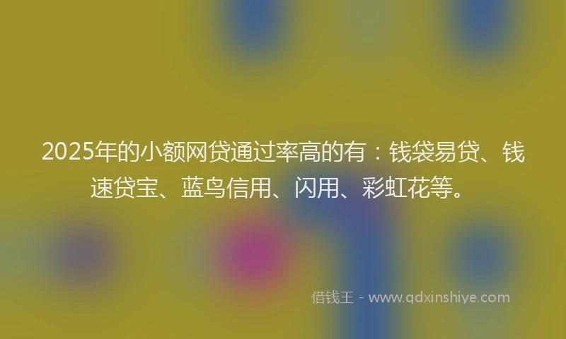 2025年的小额网贷通过率高的有：钱袋易贷、钱速贷宝、蓝鸟信用、闪用、彩虹花等。