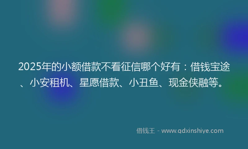 2025年的小额借款不看征信哪个好有：借钱宝途、小安租机、星愿借款、小丑鱼、现金侠融等。