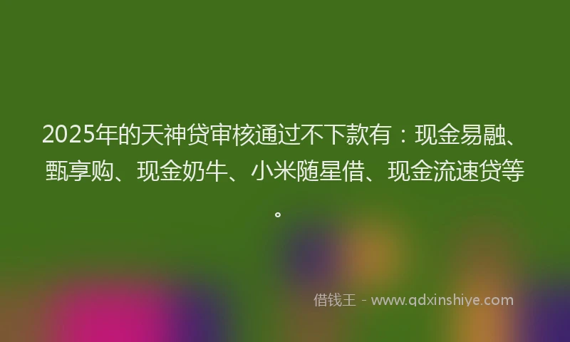 2025年的天神贷审核通过不下款有：现金易融、甄享购、现金奶牛、小米随星借、现金流速贷等。