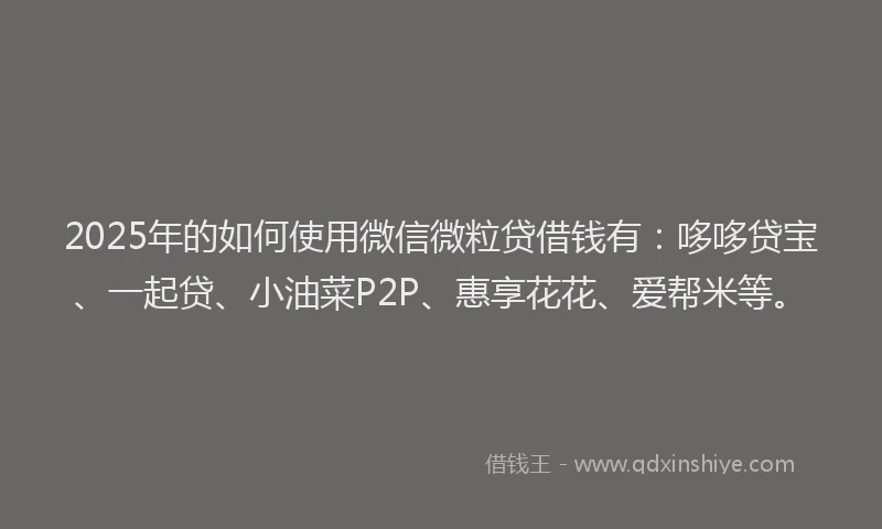 2025年的如何使用微信微粒贷借钱有：哆哆贷宝、一起贷、小油菜P2P、惠享花花、爱帮米等。