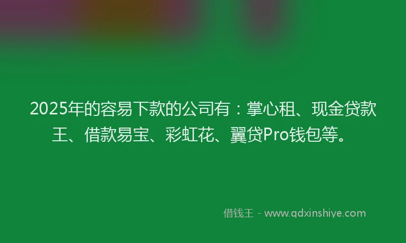 2025年的容易下款的公司有：掌心租、现金贷款王、借款易宝、彩虹花、翼贷Pro钱包等。