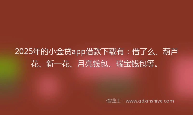 2025年的小金贷app借款下载有：借了么、葫芦花、新一花、月亮钱包、瑞宝钱包等。