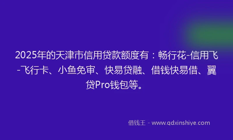 2025年的天津市信用贷款额度有：畅行花-信用飞-飞行卡、小鱼免审、快易贷融、借钱快易借、翼贷Pro钱包等。