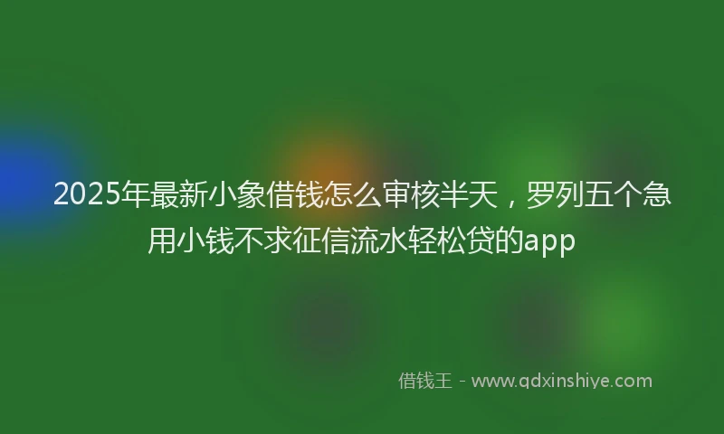 2025年最新小象借钱怎么审核半天，罗列五个急用小钱不求征信流水轻松贷的app