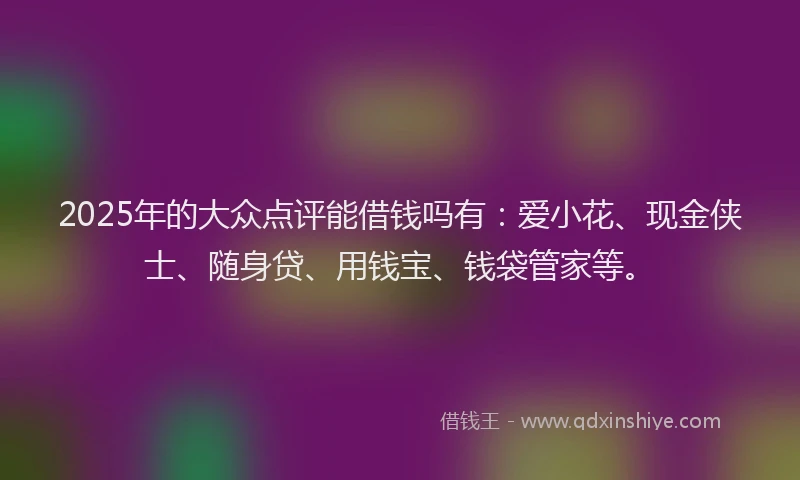 2025年的大众点评能借钱吗有：爱小花、现金侠士、随身贷、用钱宝、钱袋管家等。