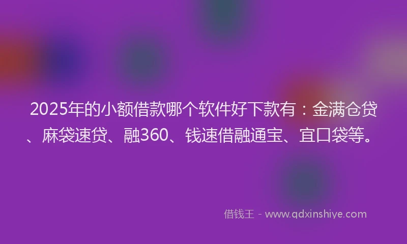 2025年的小额借款哪个软件好下款有：金满仓贷、麻袋速贷、融360、钱速借融通宝、宜口袋等。