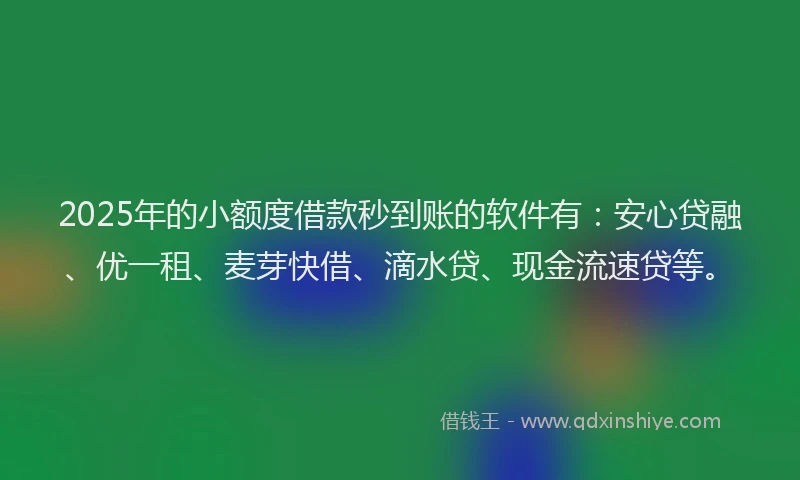 2025年的小额度借款秒到账的软件有：安心贷融、优一租、麦芽快借、滴水贷、现金流速贷等。