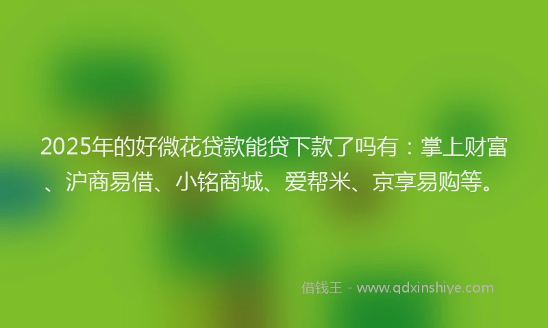 2025年的好微花贷款能贷下款了吗有：掌上财富、沪商易借、小铭商城、爱帮米、京享易购等。
