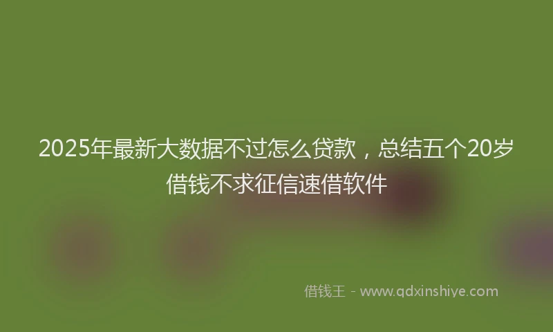 2025年最新大数据不过怎么贷款，总结五个20岁借钱不求征信速借软件