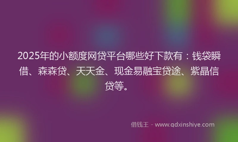 2025年的小额度网贷平台哪些好下款有：钱袋瞬借、森森贷、天天金、现金易融宝贷途、紫晶信贷等。