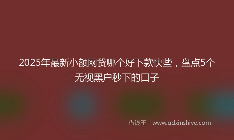 2025年最新小额网贷哪个好下款快些，盘点5个无视黑户秒下的口子
