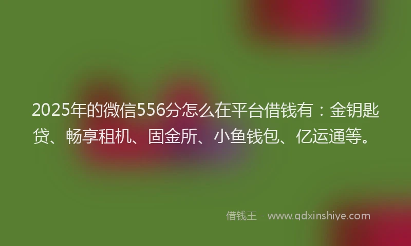 2025年的微信556分怎么在平台借钱有：金钥匙贷、畅享租机、固金所、小鱼钱包、亿运通等。