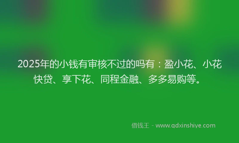 2025年的小钱有审核不过的吗有：盈小花、小花快贷、享下花、同程金融、多多易购等。